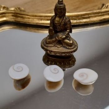 Shiva oog Shiva oog