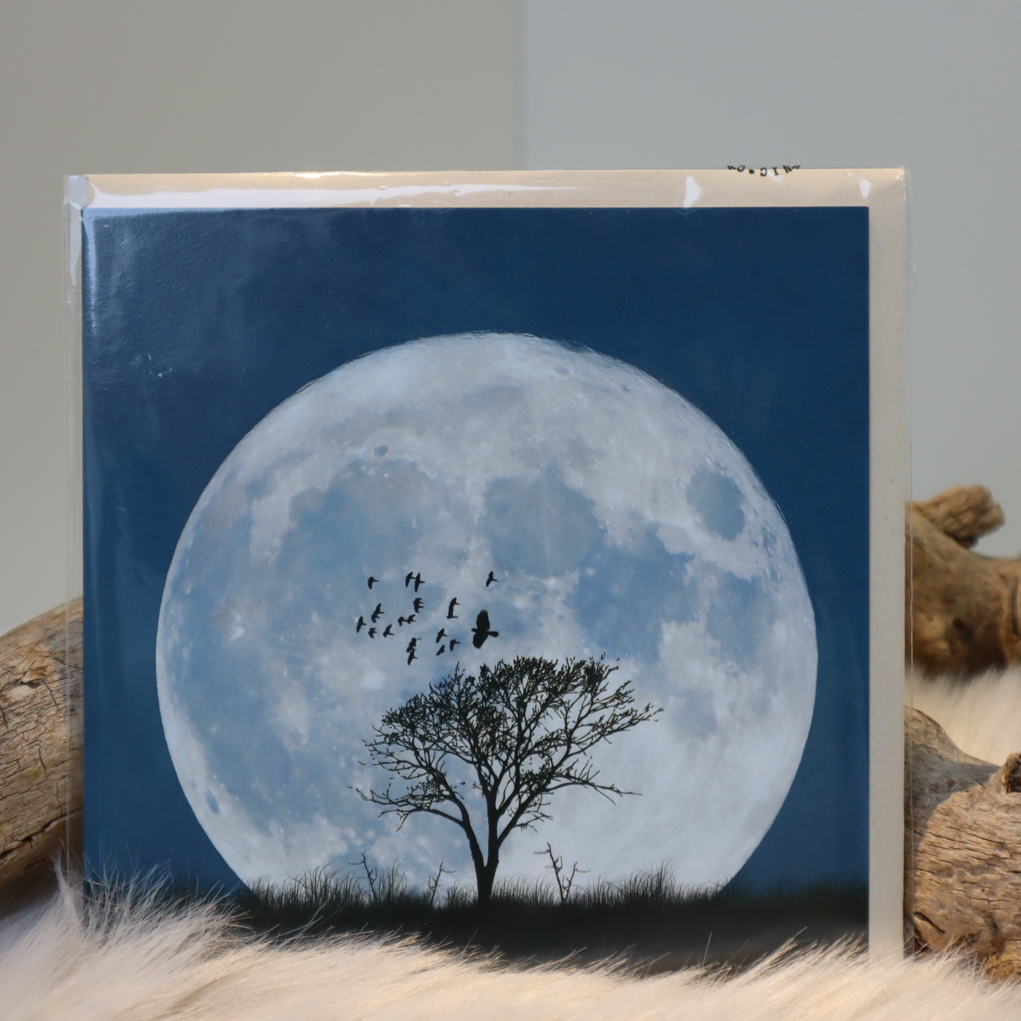 Postkaart Volle maan Postkaart Volle maan