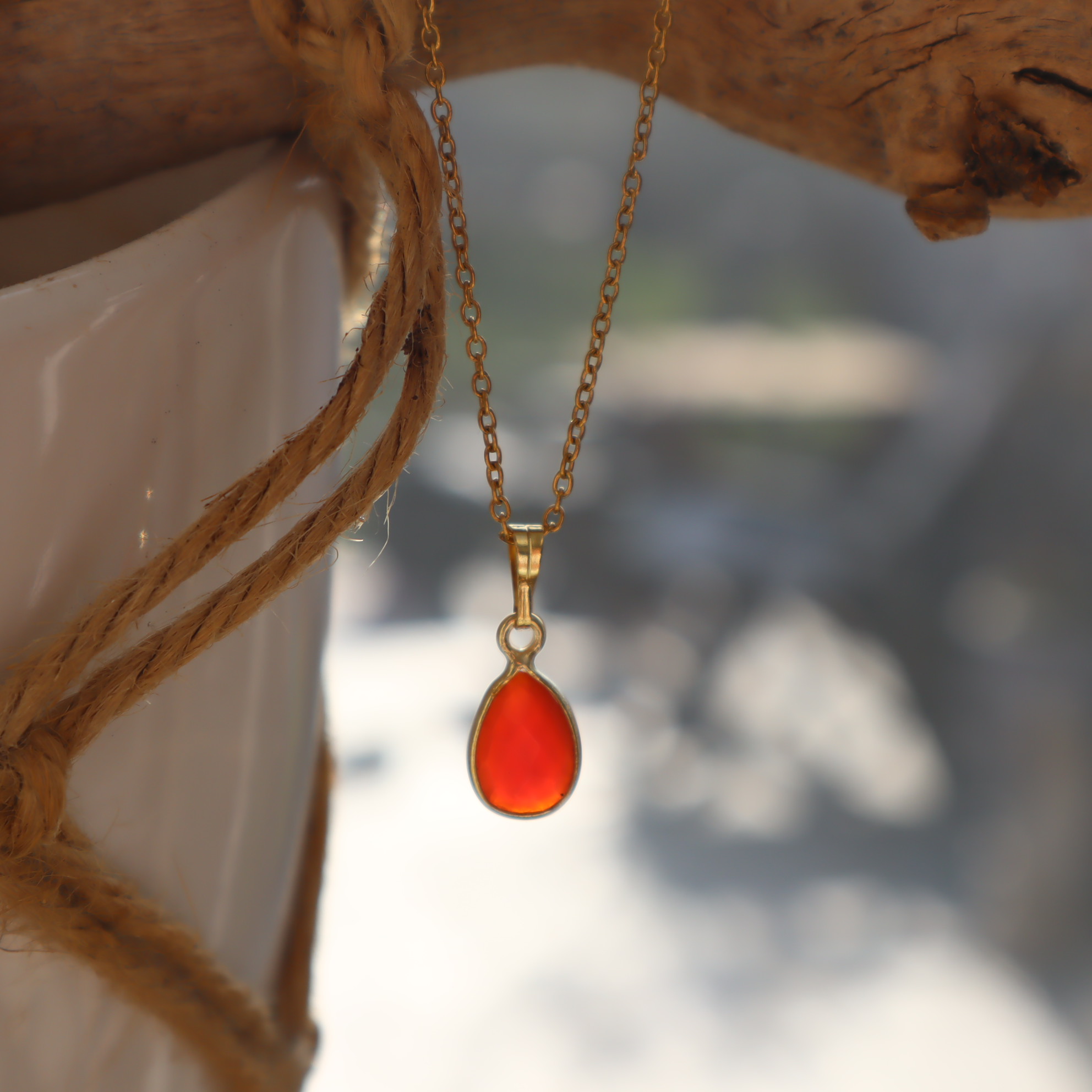 RVS ketting carneool
