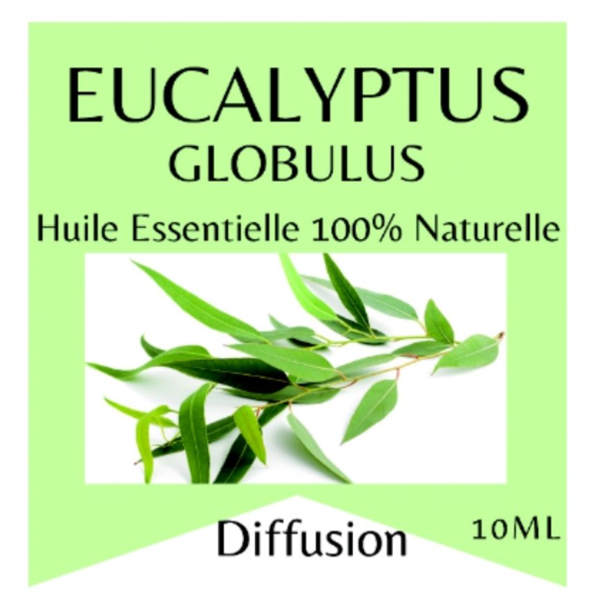 Essentiële Oliën Eucalyptus