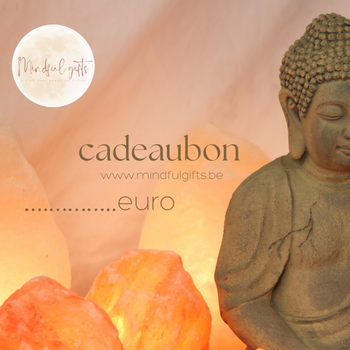 Cadeaubon 25 euro