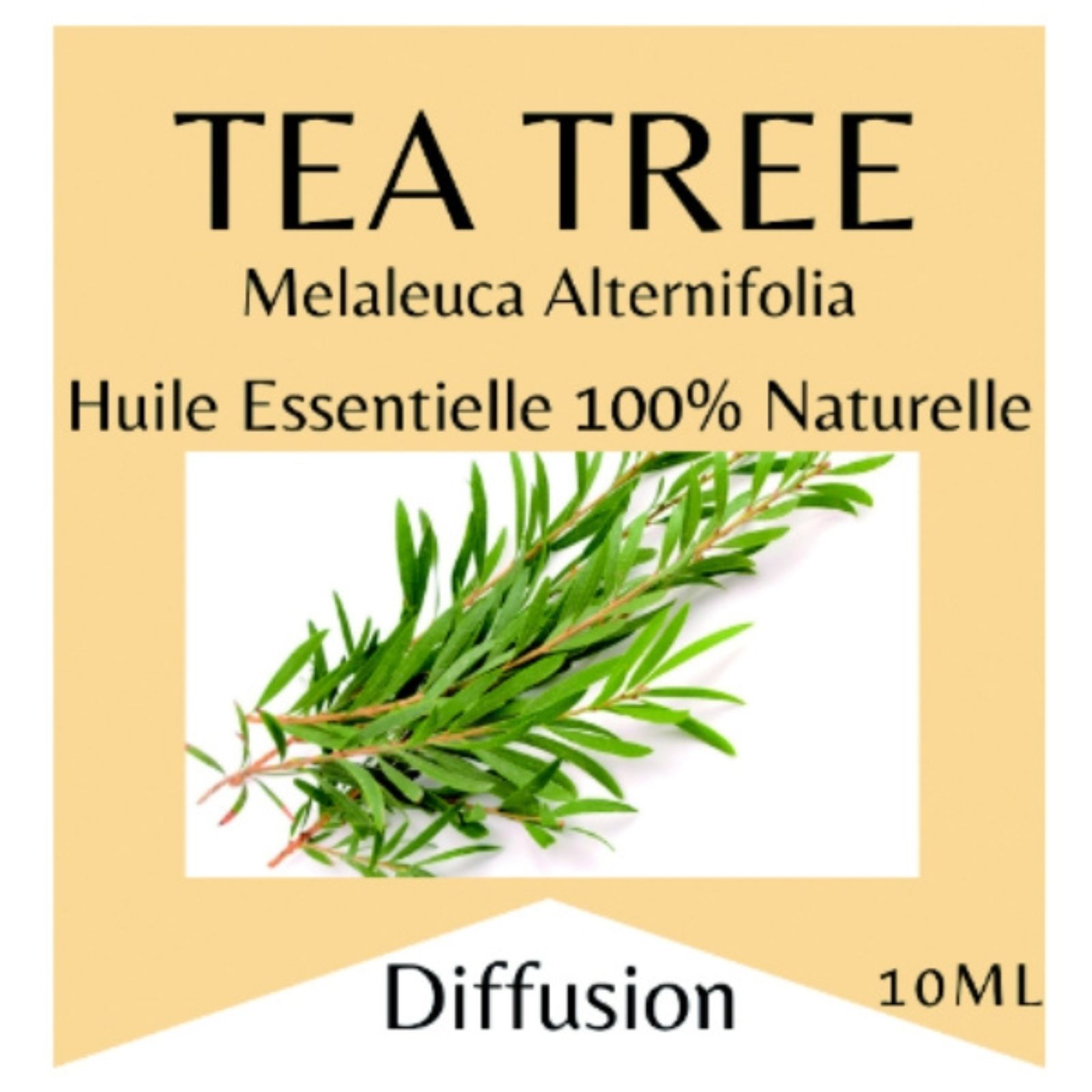 Etherische olie Tea Tree Etherische olie Tea Tree