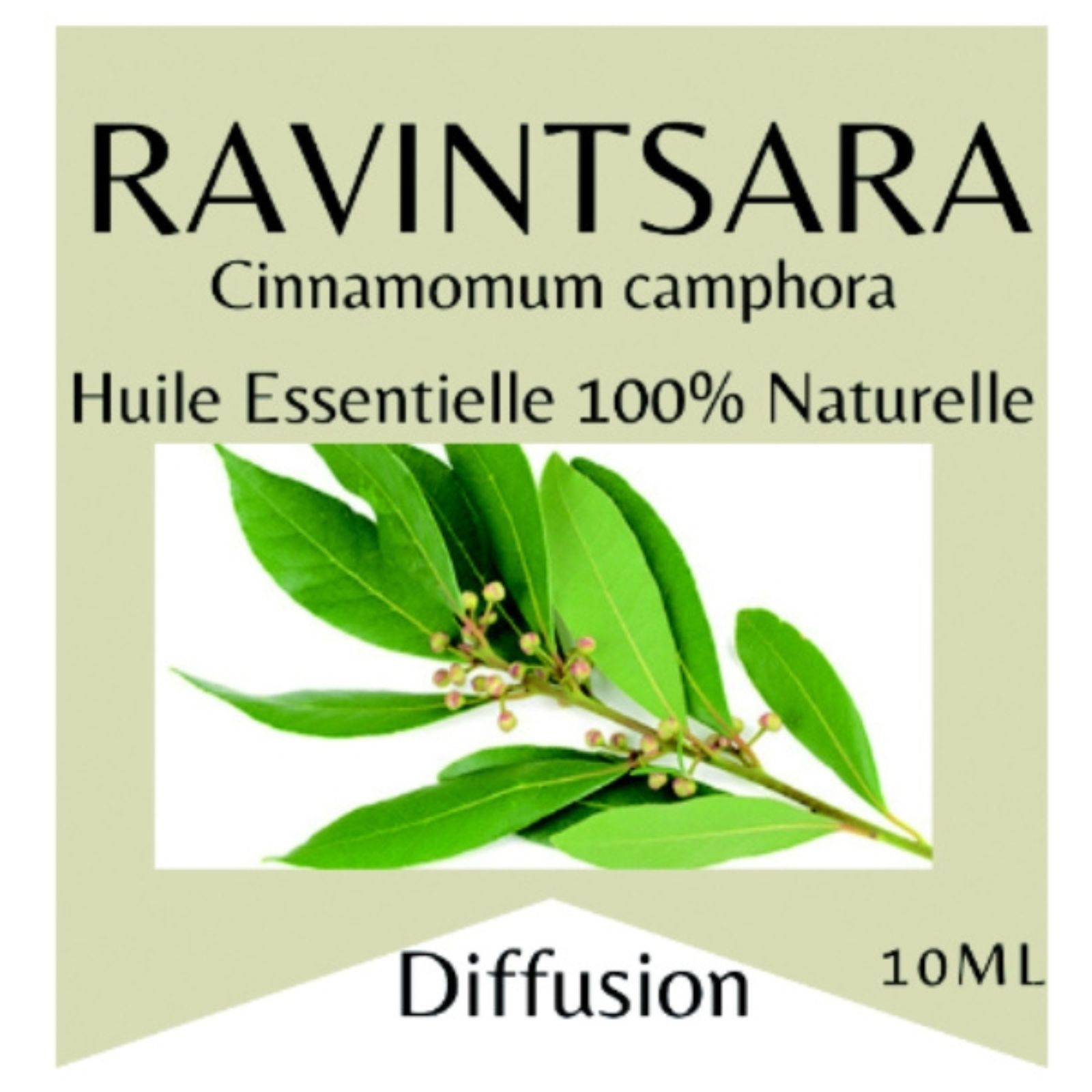 Etherische olie Ravintsara Etherische olie Ravintsara